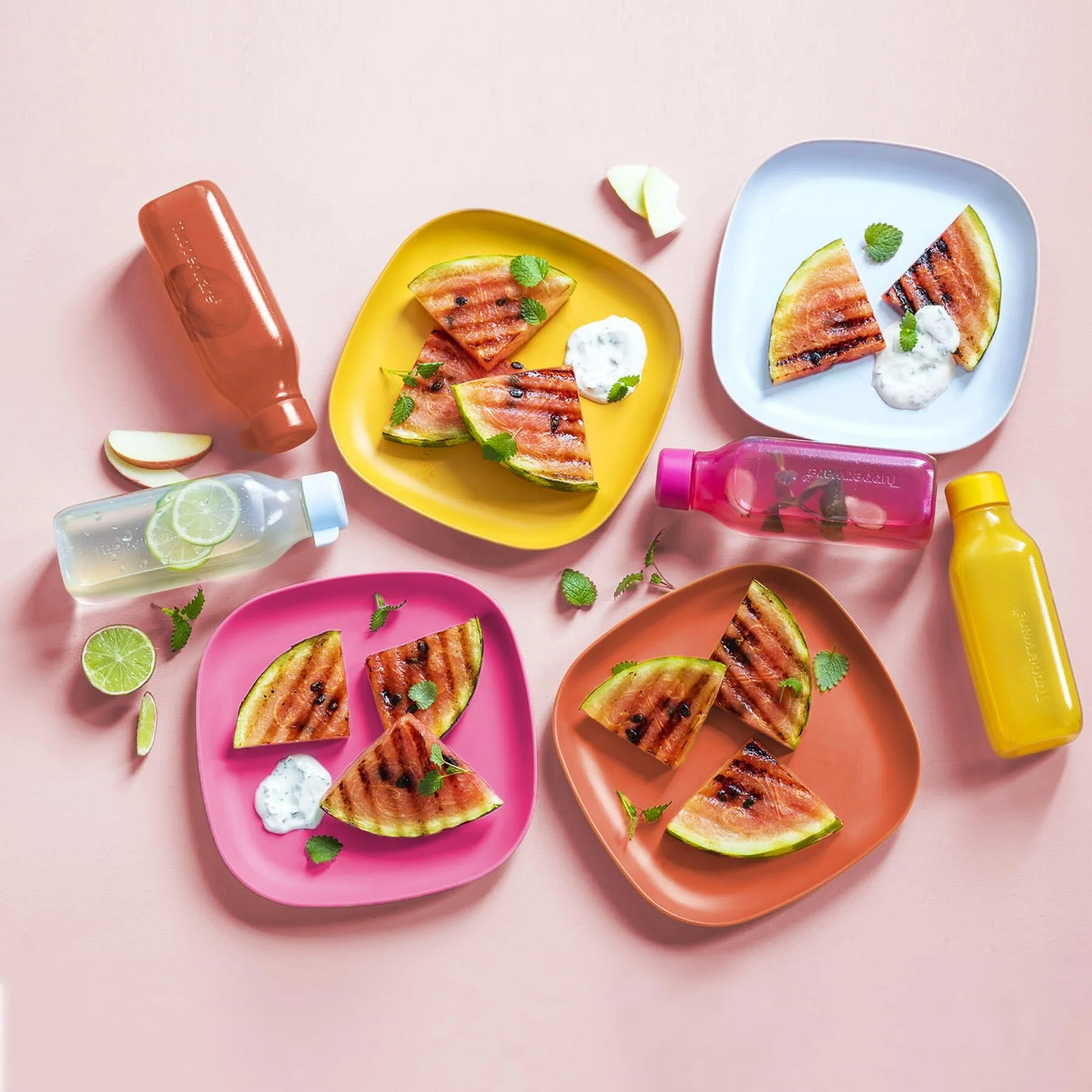 4 Assiettes Pique-nique eco+