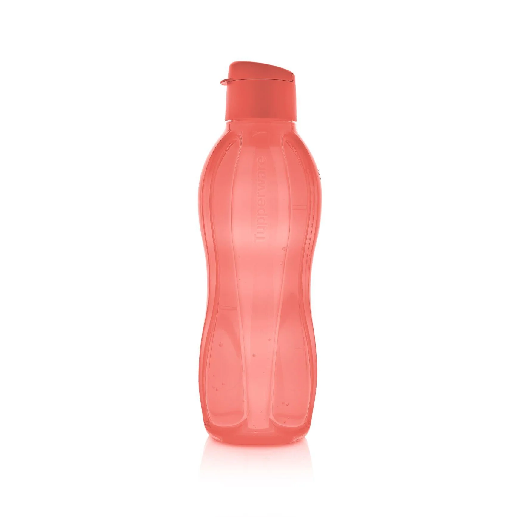 Éco sport+ 1 l (pastèque)