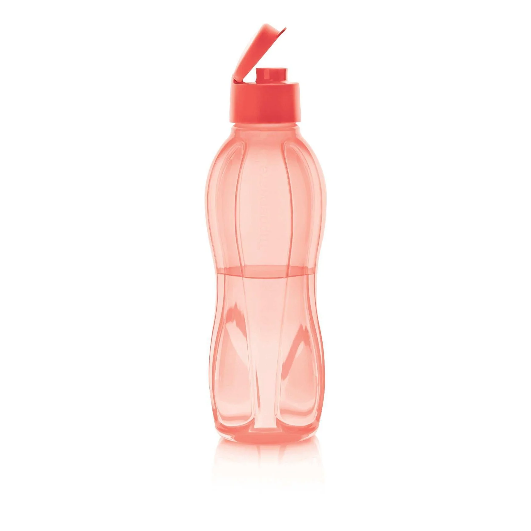 Éco sport+ 1 l (pastèque) - Image 2