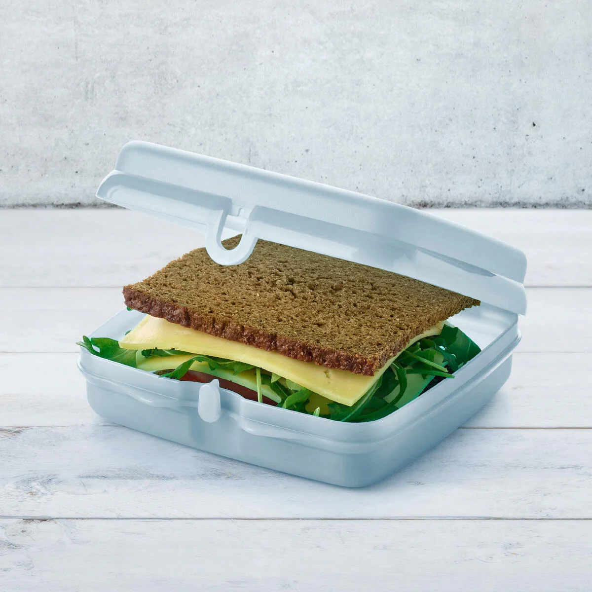 Éco Boîte à sandwich