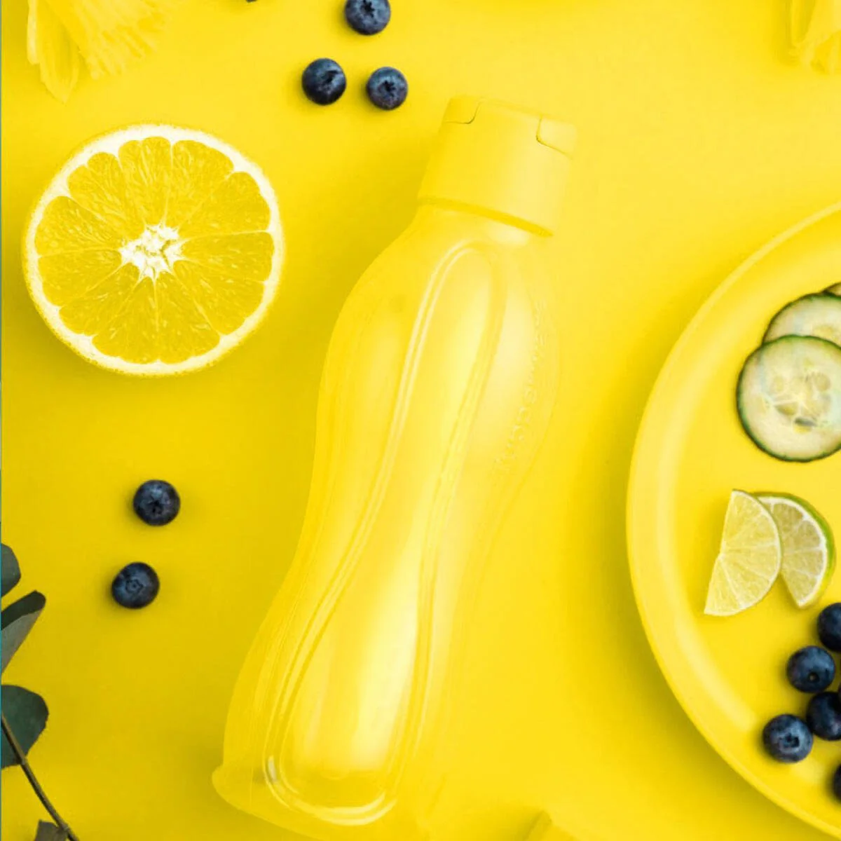 Eco Bouteille 750ml
