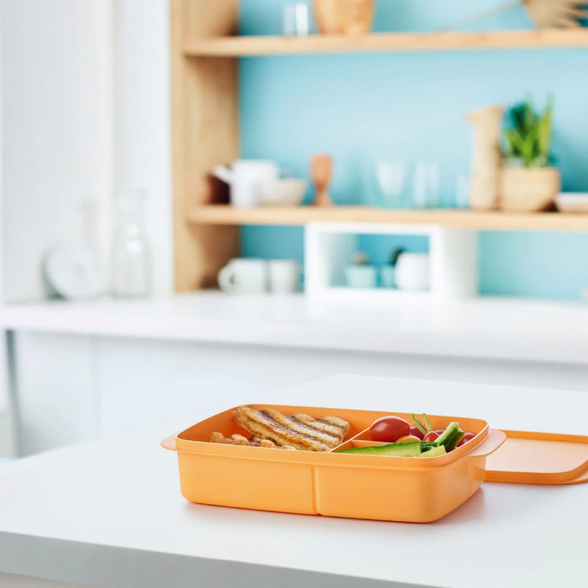 Éco Lunch box (1L) - Image 3