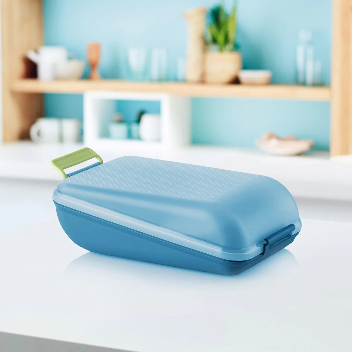 LUNCH BOX MEDIUM - Image 2